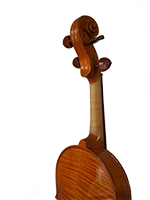 Violina 2 Vrat Zadnji
